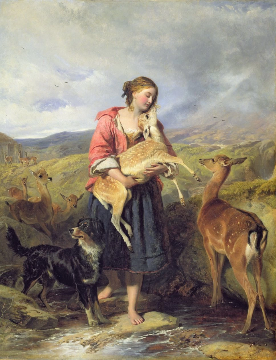Il cerbiatto domestico, 1860
